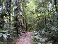 17b - Parc des Mamelles - Marche 009
